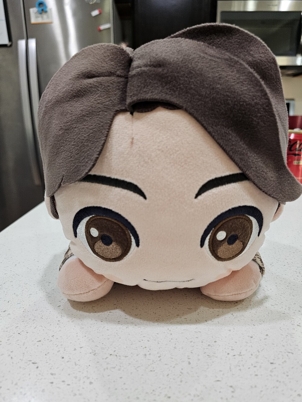 Jungkook Plush (BTS) ( FUNDS TO HELP FUNDRAISE)